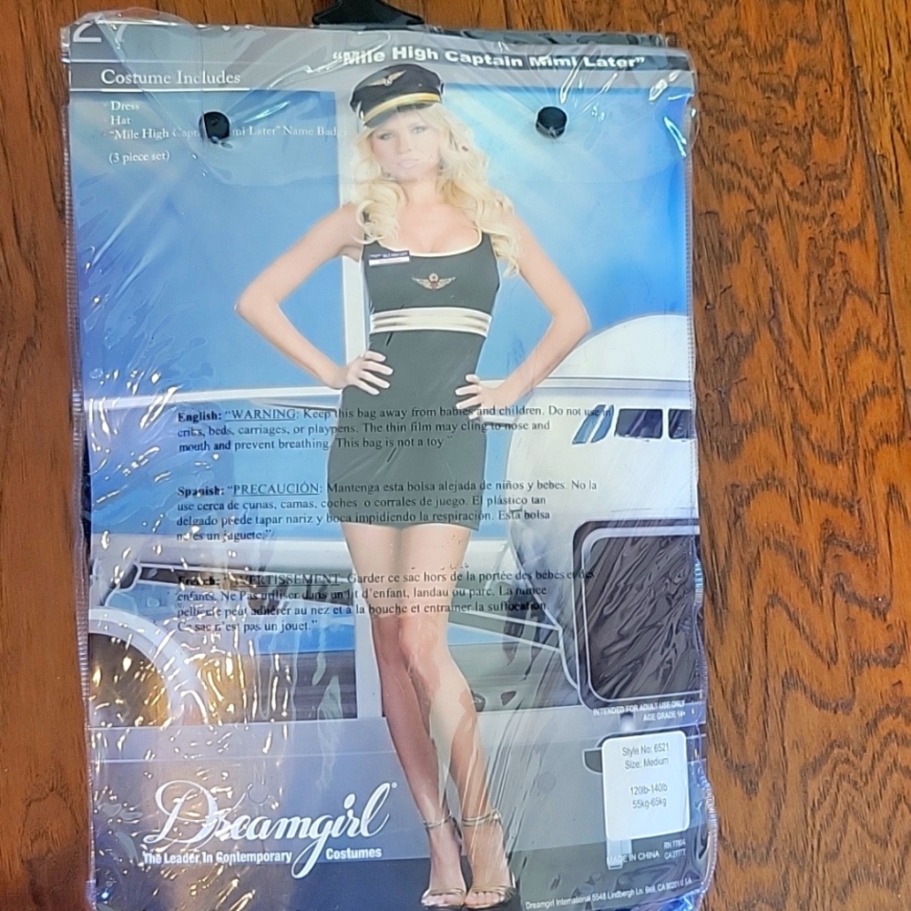 Pilot or Flight attendant costume